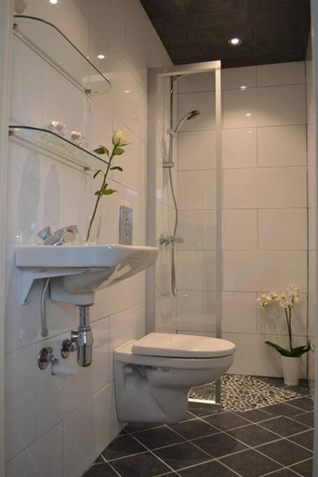Lys Og Trivelig Leilighet I Larvik Extérieur photo